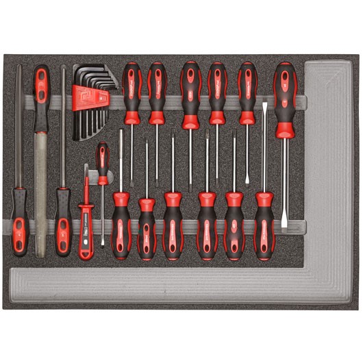 картинка R22350002 Комплект отверток, напильников GED REDRED 3301683 — losomat.ru